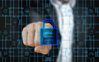 乐鱼全站-体育特许经营管理制度构建与案例研究，体育行业特有职业培训试点单位