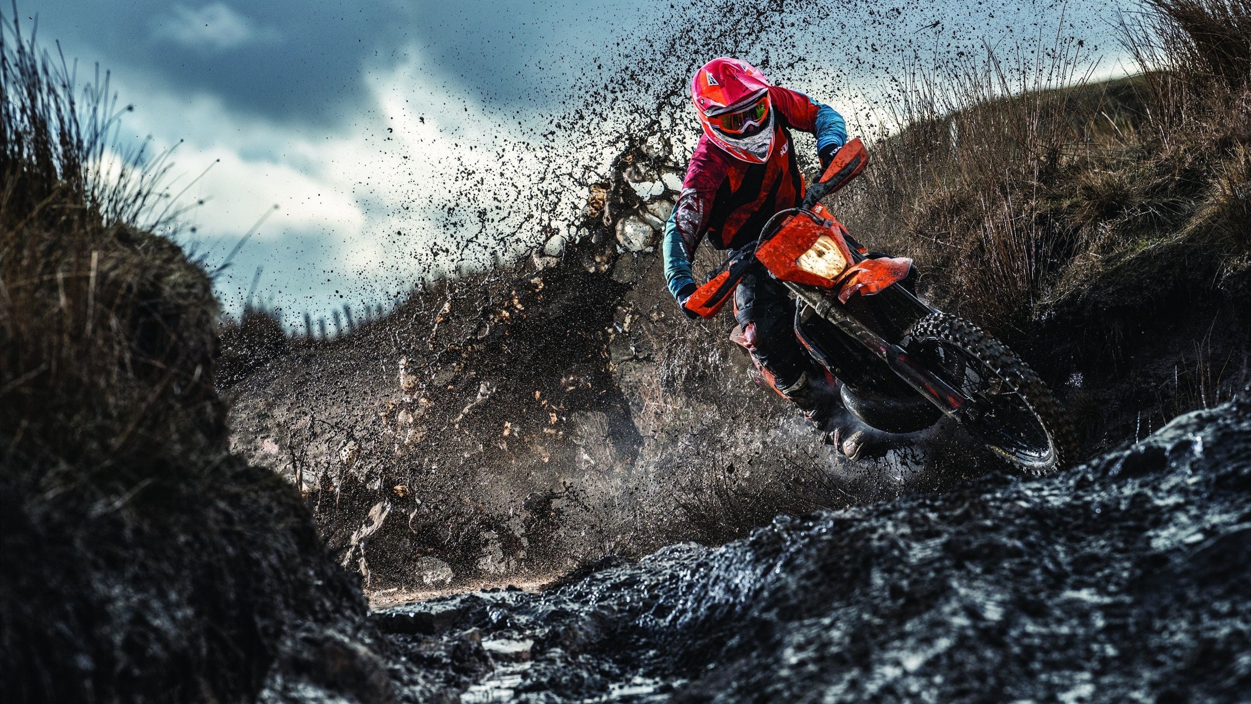 乐鱼体育 官方平台-体育直播平台用户互动行为数据分析报告，互动直播体育怎么看