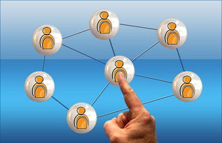 APP下载 LY Sports-意甲球队季中高强度赛程负荷与表现关系研究，意甲各项记录