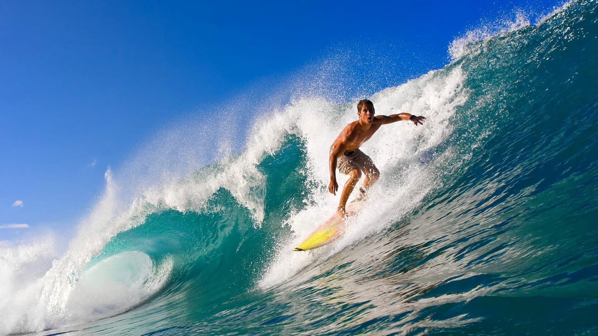 中距离蛙泳选手体能管理见长，蛙泳比赛泳距